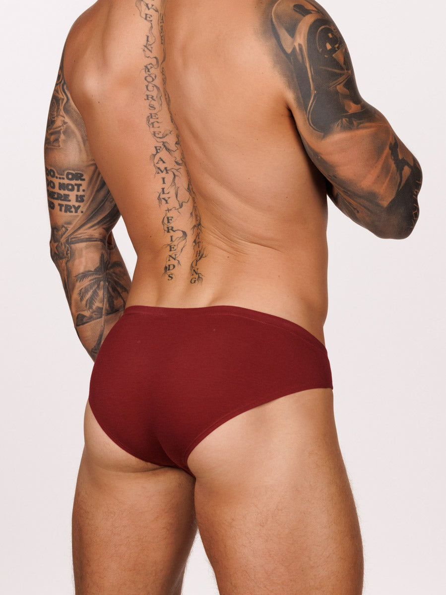 Back view of a male model wearing a burgundy red Body Aware brief