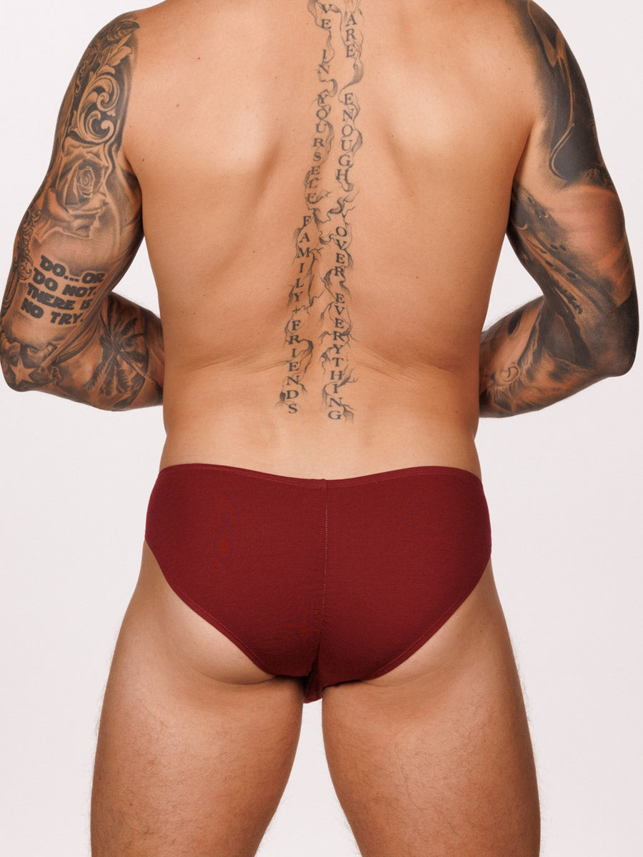 Back view of a male model wearing a burgundy red Body Aware brief