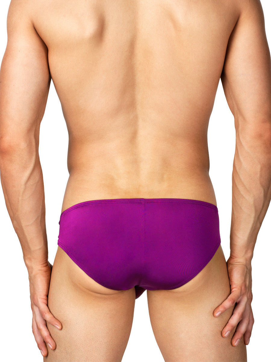 The Tea Bag Brief