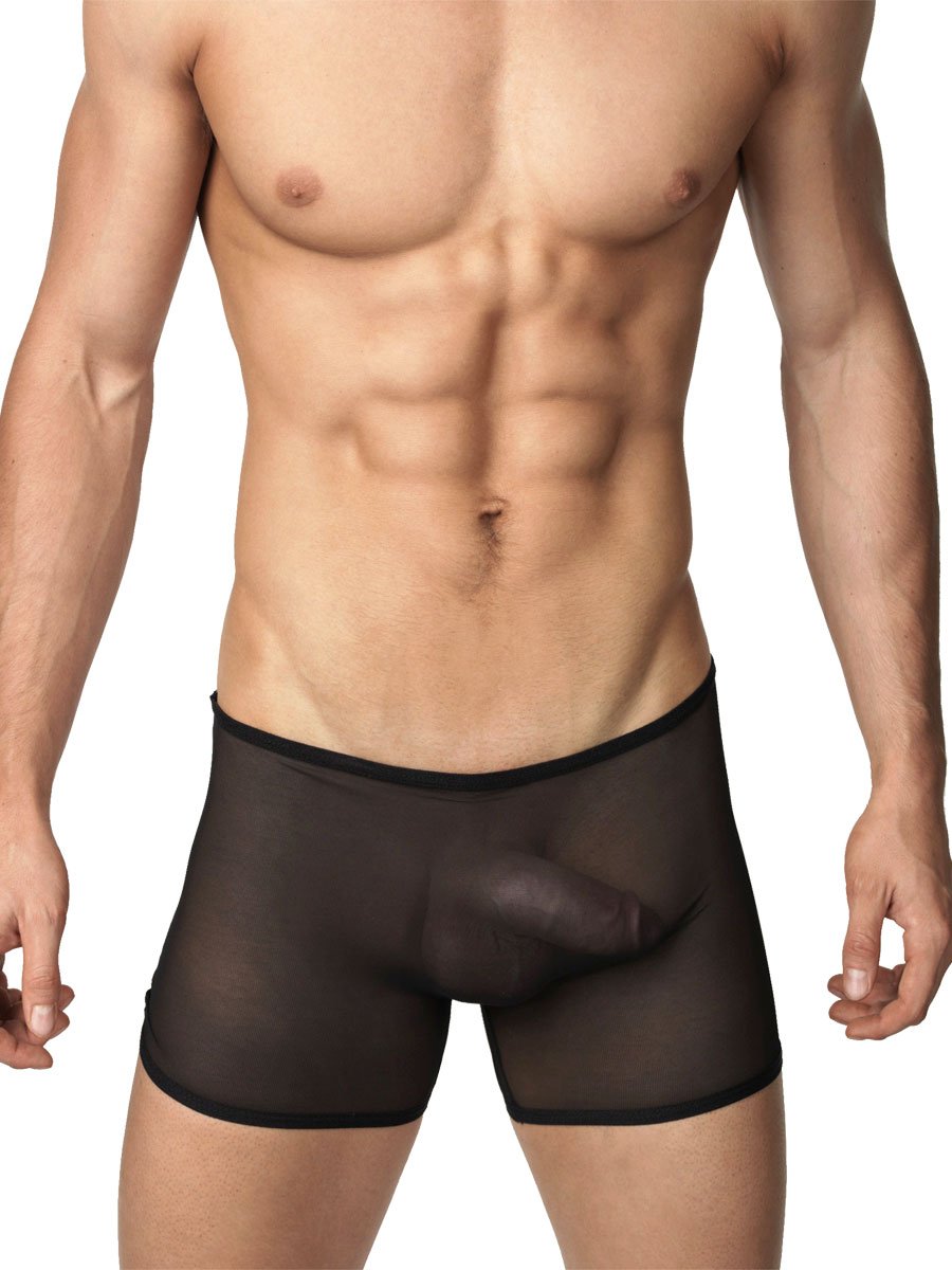 Men's black mesh see-through boxer briefs - Body Aware