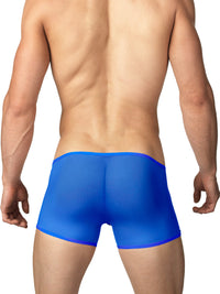 Men's Mesh Boxer