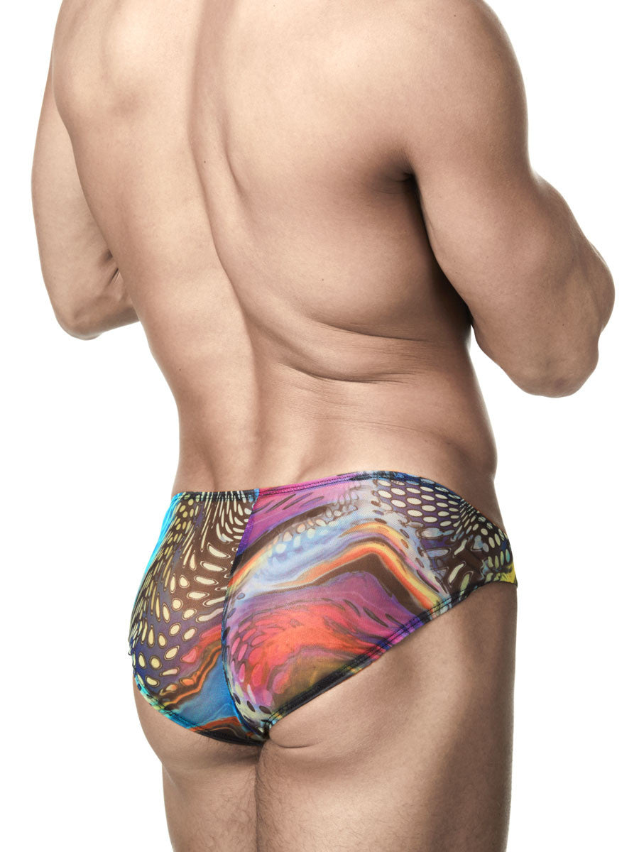 The Peacock Mesh Swim Brief