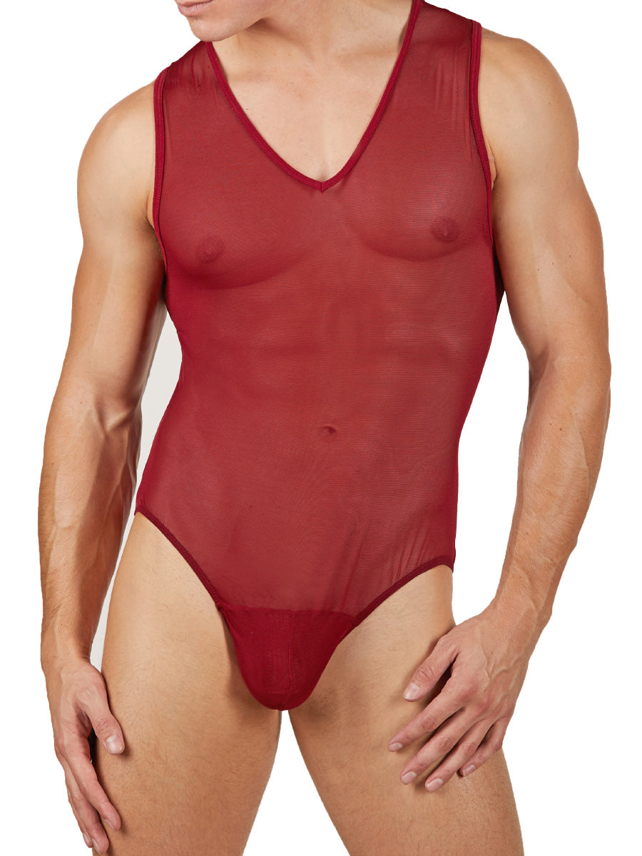 Men's Burgundy Mesh See Through V-Neck Bodysuit Leotard