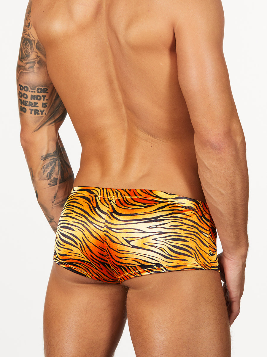 Men's tiger print boxer